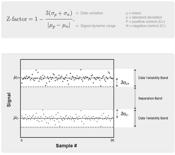 equation and graph