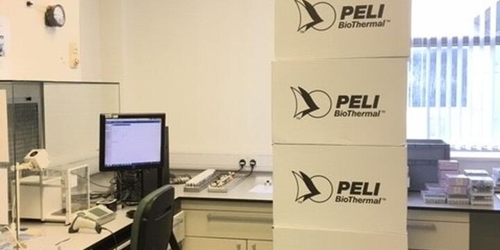 Screening plates in boxes in office