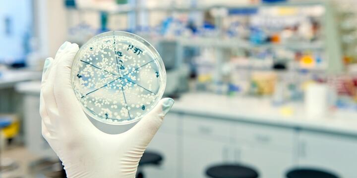 Media Name: Medical_s_162881255.jpg