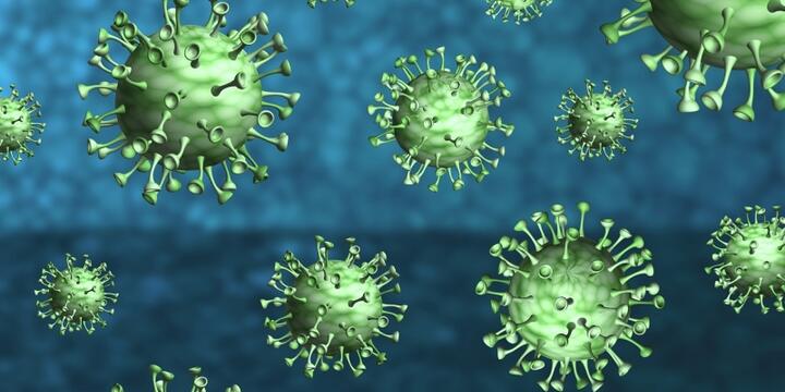 Corona virus molecules